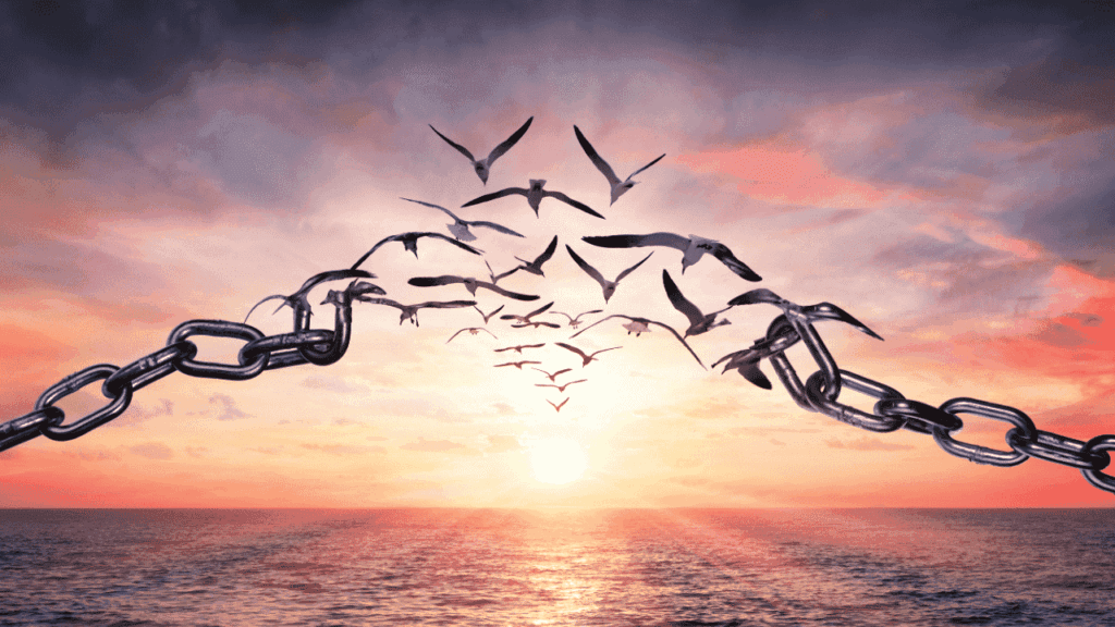 health benefits of sobriety