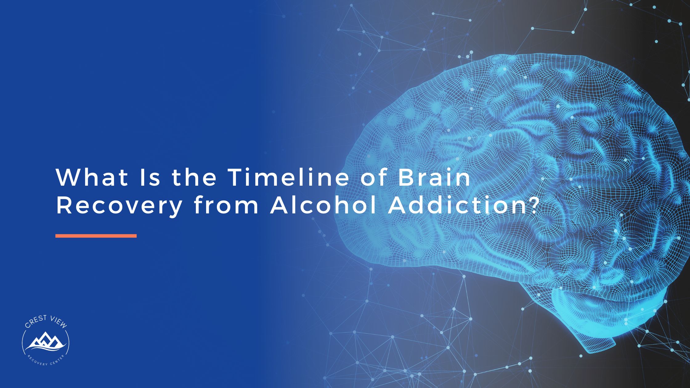 Timeline of Brain Recovery After an Alcohol Addiction | NC